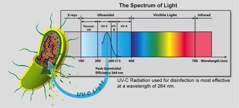 UV Light